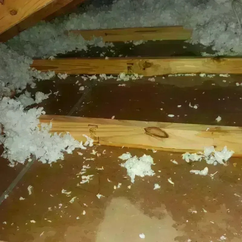 Attic Water Damage in Sumter, SC